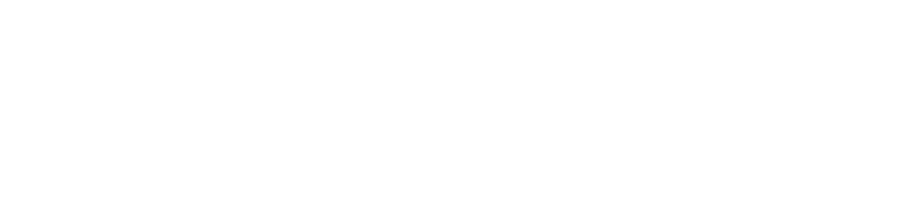 Netymedia Logo